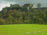 Stirling castle (84)